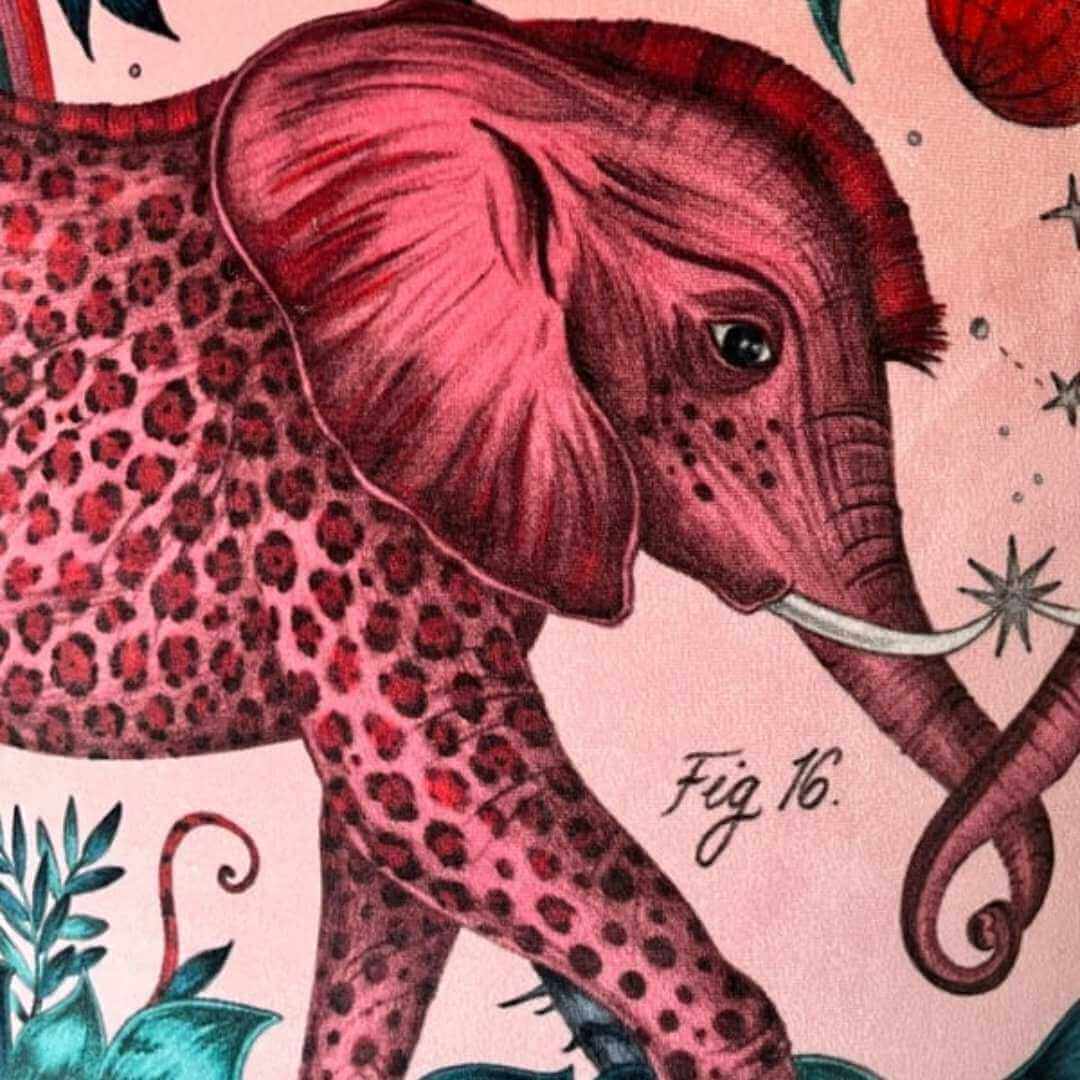 Emma Shipley zambezi design pink velvet fabric showing a close up of an elephant 